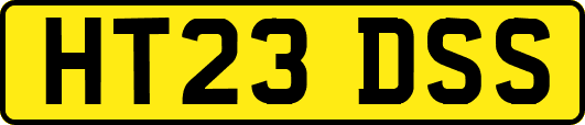 HT23DSS