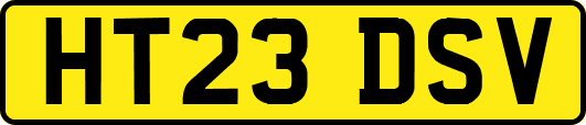 HT23DSV