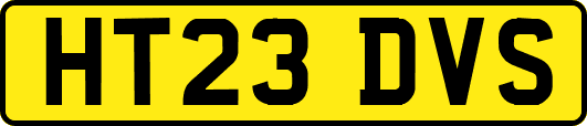 HT23DVS