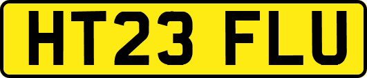 HT23FLU