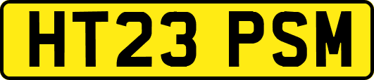HT23PSM