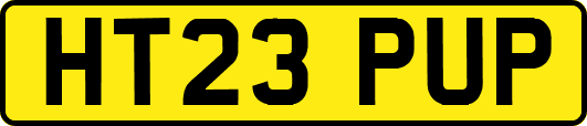 HT23PUP