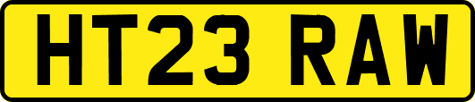 HT23RAW
