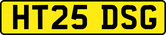 HT25DSG