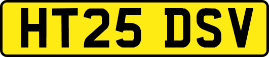 HT25DSV