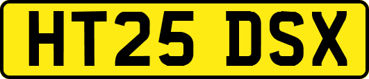 HT25DSX