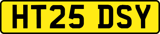 HT25DSY