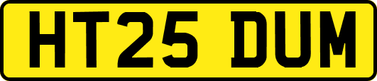 HT25DUM