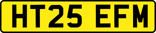 HT25EFM