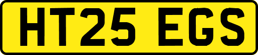 HT25EGS