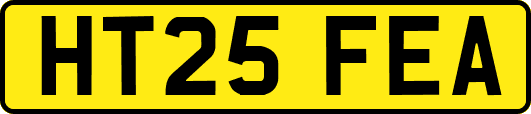 HT25FEA