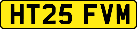 HT25FVM