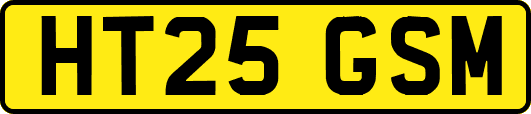 HT25GSM