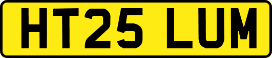 HT25LUM