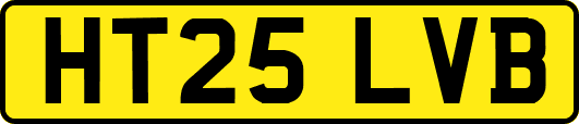 HT25LVB