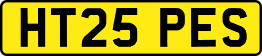 HT25PES