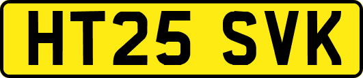 HT25SVK