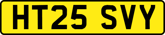 HT25SVY