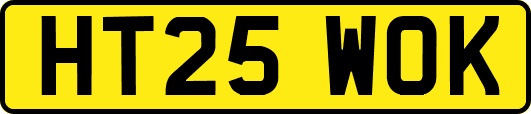 HT25WOK