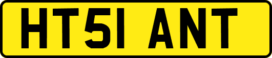 HT51ANT