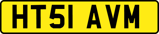 HT51AVM