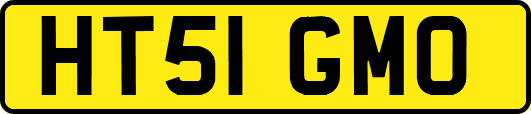 HT51GMO