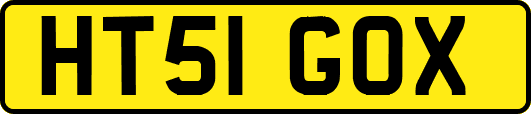 HT51GOX