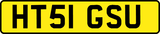 HT51GSU