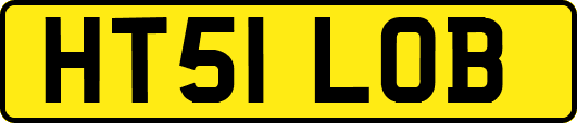 HT51LOB