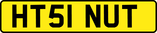 HT51NUT