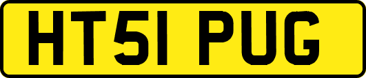HT51PUG