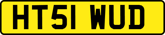 HT51WUD