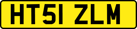 HT51ZLM
