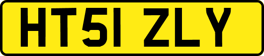 HT51ZLY