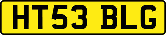 HT53BLG