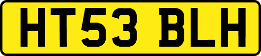 HT53BLH