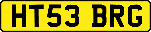 HT53BRG