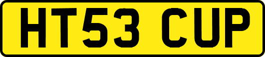 HT53CUP