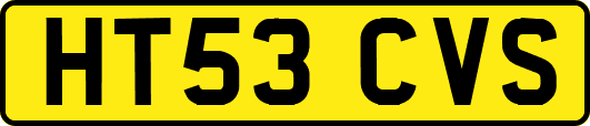 HT53CVS