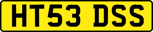 HT53DSS