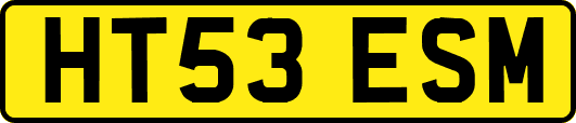 HT53ESM