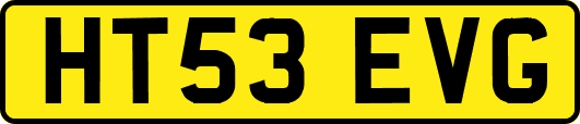 HT53EVG