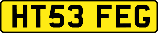 HT53FEG