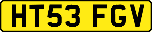 HT53FGV