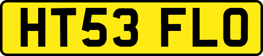 HT53FLO