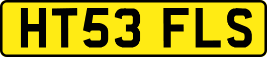 HT53FLS