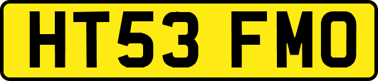 HT53FMO