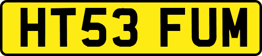 HT53FUM