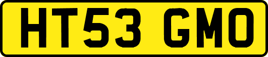 HT53GMO