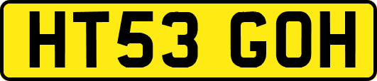 HT53GOH
